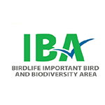 IBA-3