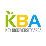 KBA-3