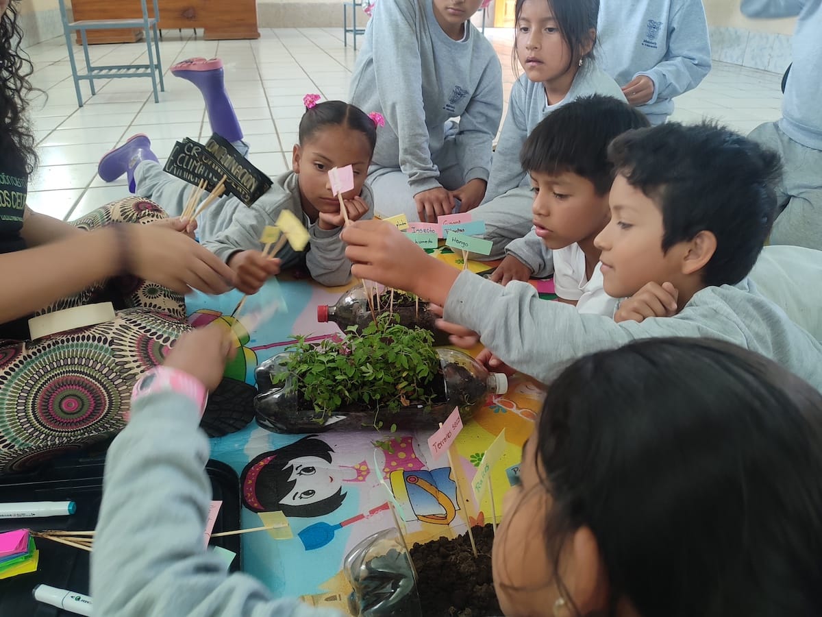 Los Cedros Scientific Station teaching local schoolchildren in their classroom using simulated forest models